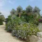 Mansio Maritima Moresco