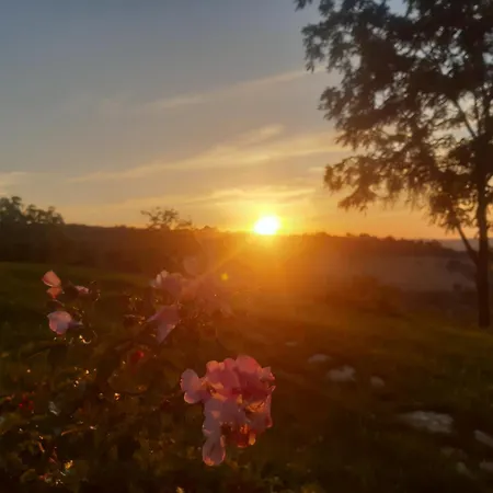 Mansio Maritima Moresco