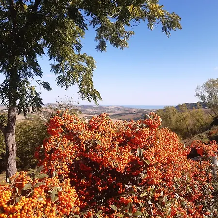 Mansio Maritima Σπίτι διακοπών *