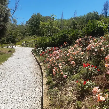 Casa de Férias Mansio Maritima *