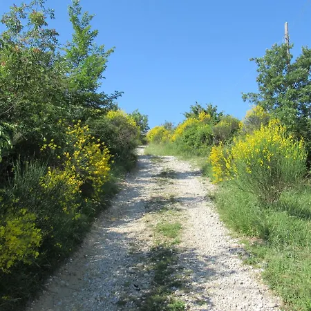 Mansio Maritima