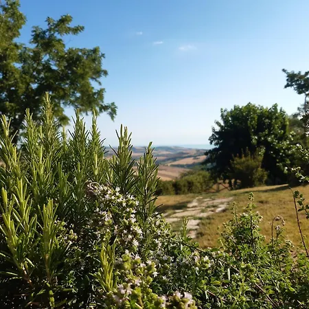 Mansio Maritima Casa de Férias Moresco